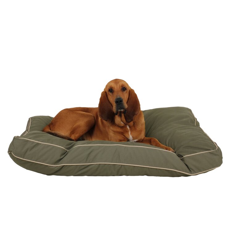 Wayfair 2025 pet beds